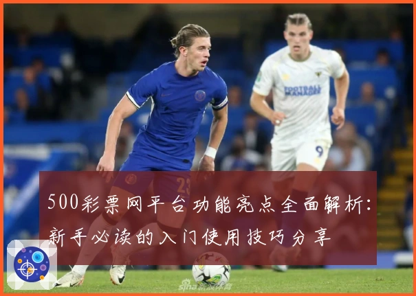 500彩票网平台功能亮点全面解析：新手必读的入门使用技巧分享