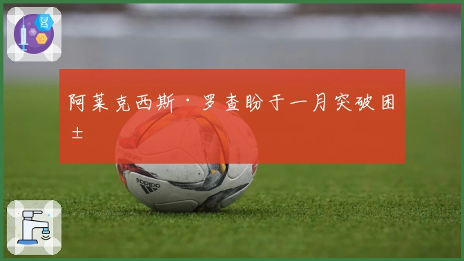 阿莱克西斯·罗查盼于一月突破困局